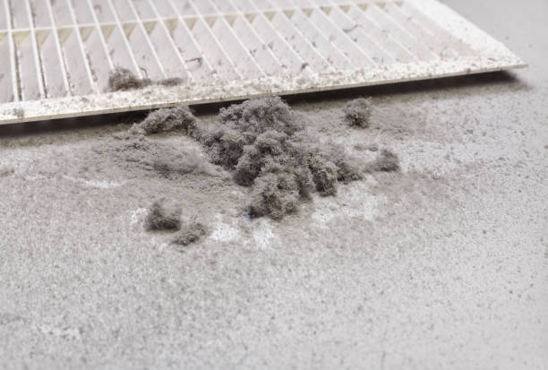 Best Commercial Air Duct Cleaning  in Petersburg, IL