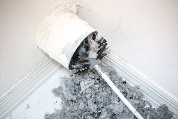Best Affordable HVAC Duct Cleaning  in Petersburg, IL